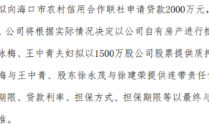 天地人拟向海口市农村信用合作联社申请贷款2000万 公司以自有房产进行抵押（海口农村信用合作社电话）