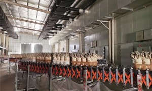 徐州睢宁：大力发展农业产业集群 助推乡村振兴（睢宁特色产业）