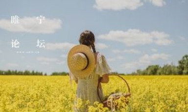 县政府第16次常务会议召开（县人民政府常委）
